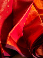 BRASSO LIGHT PINK SAREE