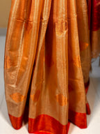 NOOR GOLDEN PINK TISSUE SAREE