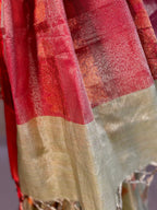 NOOR PISTA GREEN AND PINK TISSUE SAREE