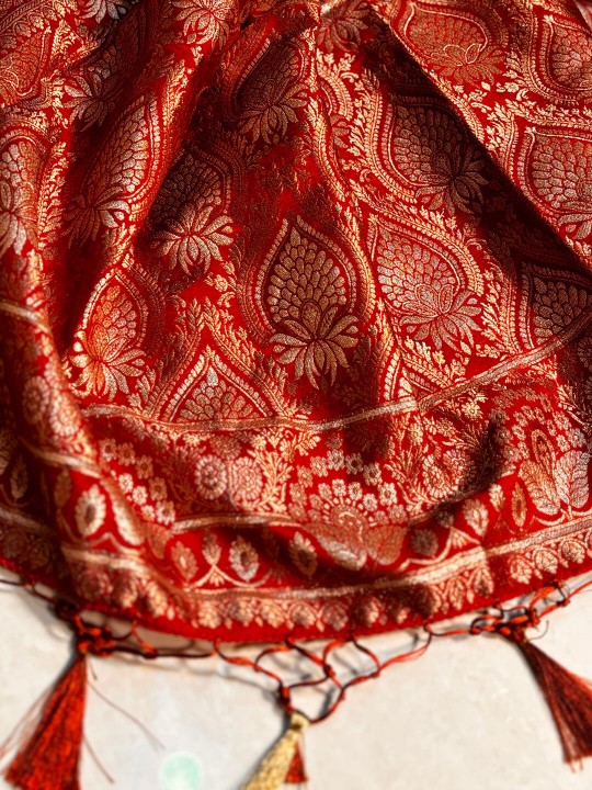 BRICK RED BANARSI SILK SAREE