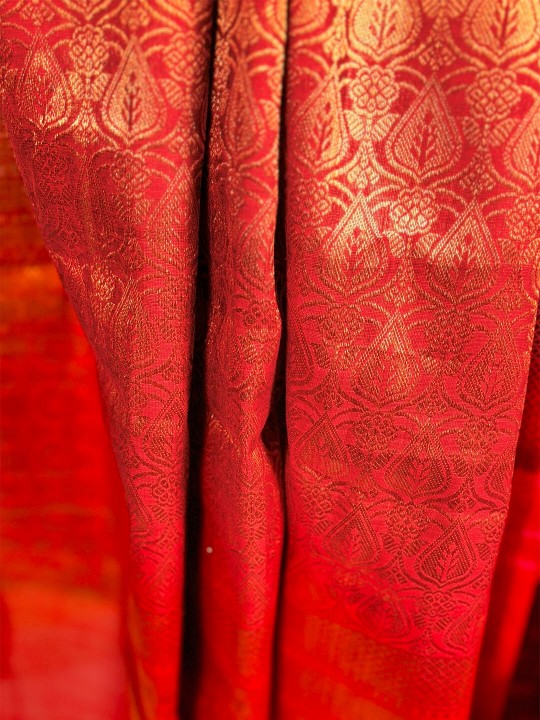 RED ORGANZA BANARSI SAREE